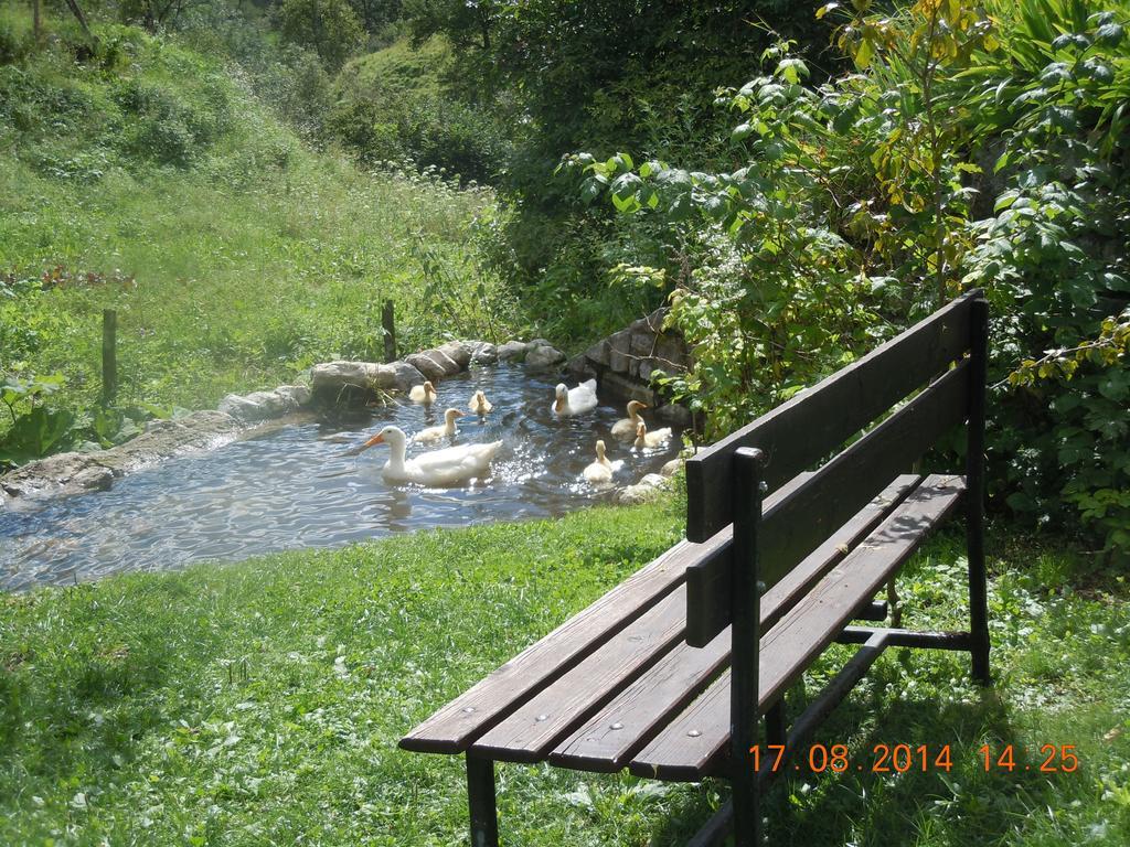 Apartment Rakuscek Kobarid Rom bilde